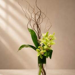 Verdant Muse