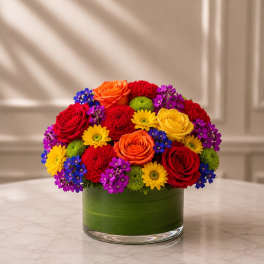 Love in Full Color