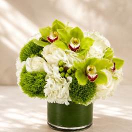Emerald Orchid Luxe