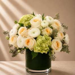 Ivory Garden Whisper