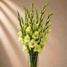 Celadon Bloom
