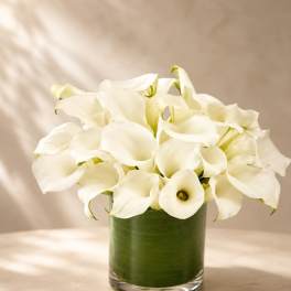 Ivory Calla Grace