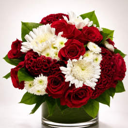 Crimson Velvet Garden