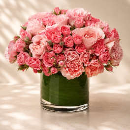 Blush Petal Romance