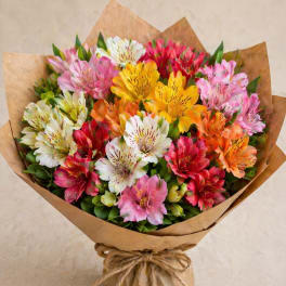 Color Pop Alstroemeria Bouquet