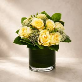 Ivory Elegance Garden