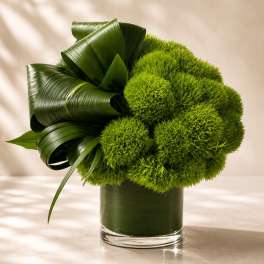 Verdant Modern Muse