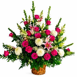Natural affection hot pink roses