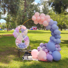 Blush Dream Arch