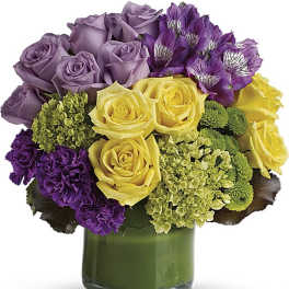 Simply Splendid