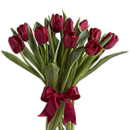 Bouquet of red tulips in a clear glass vase with a red ribbon