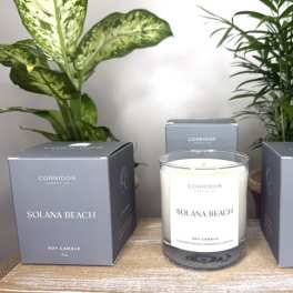 Soy candle in a glass jar with two matching boxes and potted plants behind it