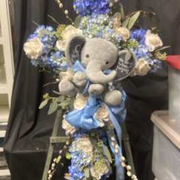 BABY ELEPHANT CROSS