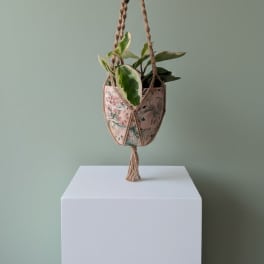 Pepperomia in Ceramic Macrame Holder