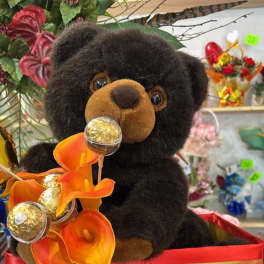 oso acompañante