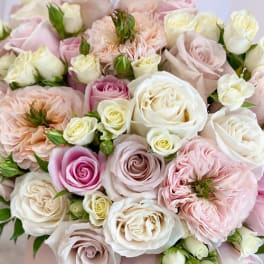 Bouquet of pale pink and white roses with blush blooms