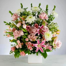 Harmony by BloomNation™