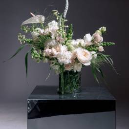 White & Creams - Cream Design