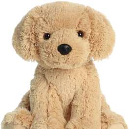 Golden Lab Puppy