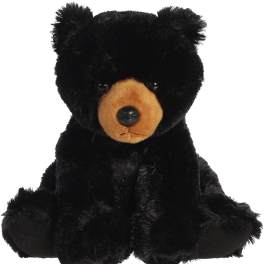 Black Bear