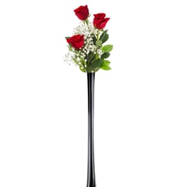 XO