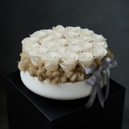 Preserved Roses - White Vase