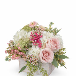 Pink roses and white hydrangeas in a white wooden box