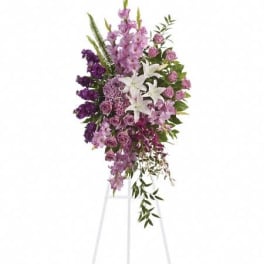 T249-4A Sacred Garden Spray
