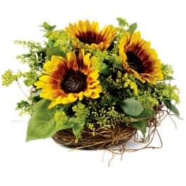 Nesting Sunflowers