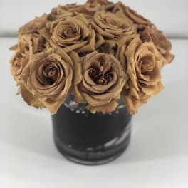 Melanin Love