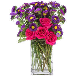 Twilight Glow by BloomNation™