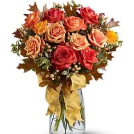 Graceful Autumn Roses