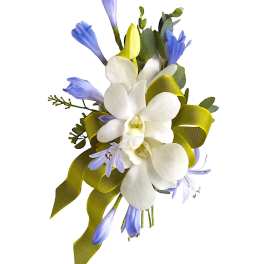 White orchid corsage with blue flowers and a green ribbon