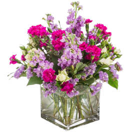 Twist and Shout by BloomNation™