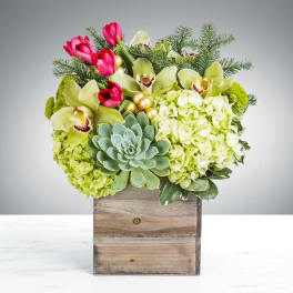 Low arrangement of green hydrangeas, orchids, red tulips, and a succulent in a wooden box.