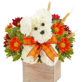 White teddy bear arrangement with orange flowers in a wooden box