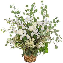 Bright Star by BloomNation™