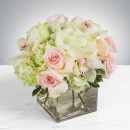 Pastel bouquet of roses, hydrangeas, and orchids in a square glass vase