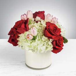Red roses and pale pink tulips in a white vase with white hydrangeas