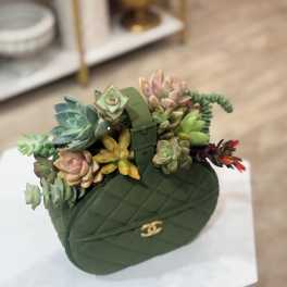 Succulent arrangement in a dark green handbag-shaped container