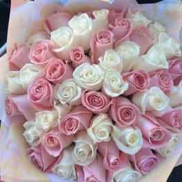 Bouquet of pink and white roses wrapped in pastel paper