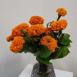 Field of Marigolds