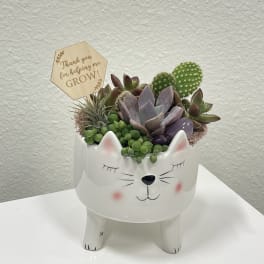 Purrfect!