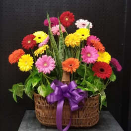 Basket of colorful gerbera daisies with a purple ribbon