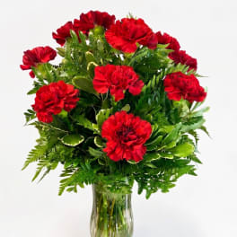 Red carnations arranged in a clear glass vase