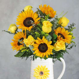 Sunshine pitcher