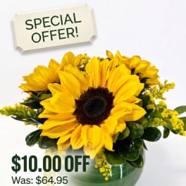 Sunflower Sunshine Bouquet