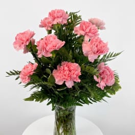 Pink Carnations (Vase Arrangement)