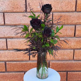 Black roses arranged in a clear glass vase with dark foliage