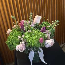 Flora